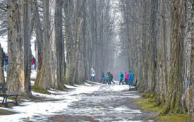 Rajd pieszy o puchar starosty strzyzowskiego 13