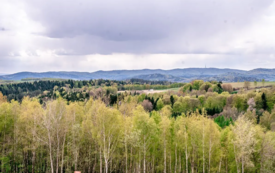 rada_powiat_sesja_s19_61
