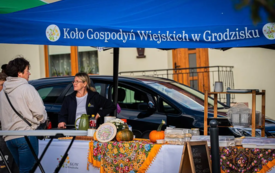 proziak_jarmark_czudec_88