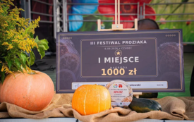proziak_jarmark_czudec_57