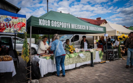 proziak_jarmark_czudec_7