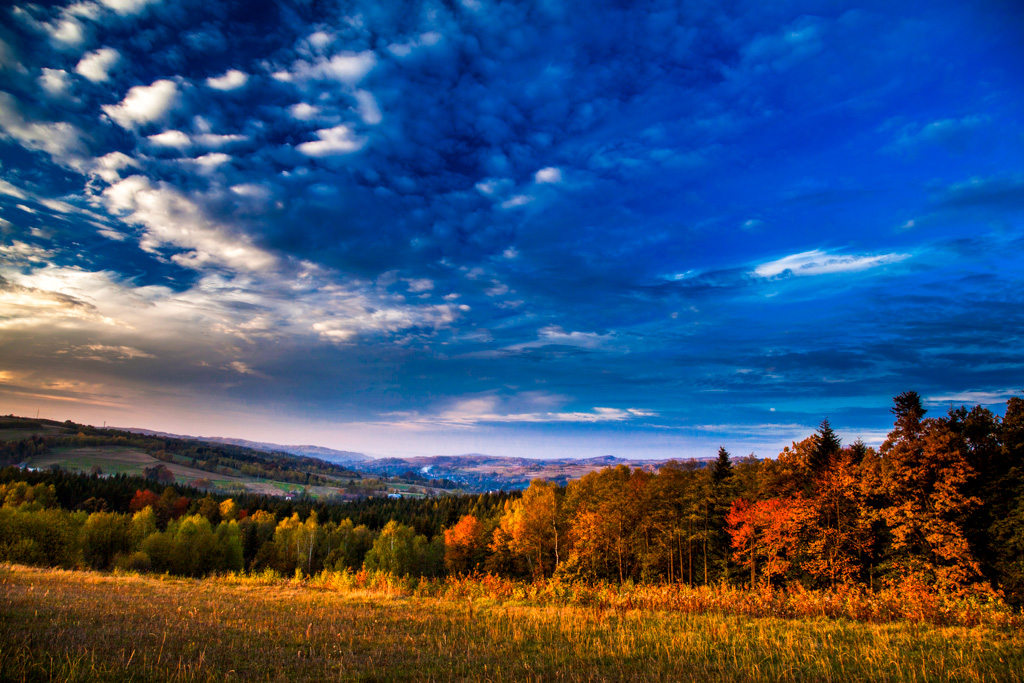 Hyżnieńsko-Gwoźnicki Obszar Chronionego Krajobrazu