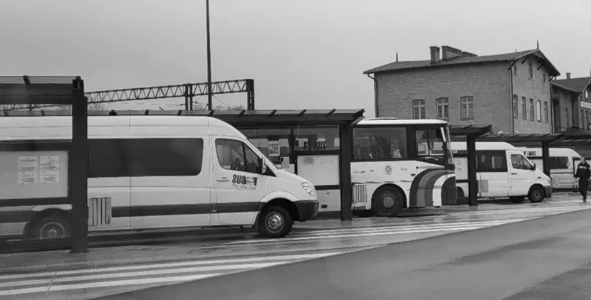 Na terenie Powiatu Strzyżowskiego uruchomiono 6 linii komunikacyjnych 