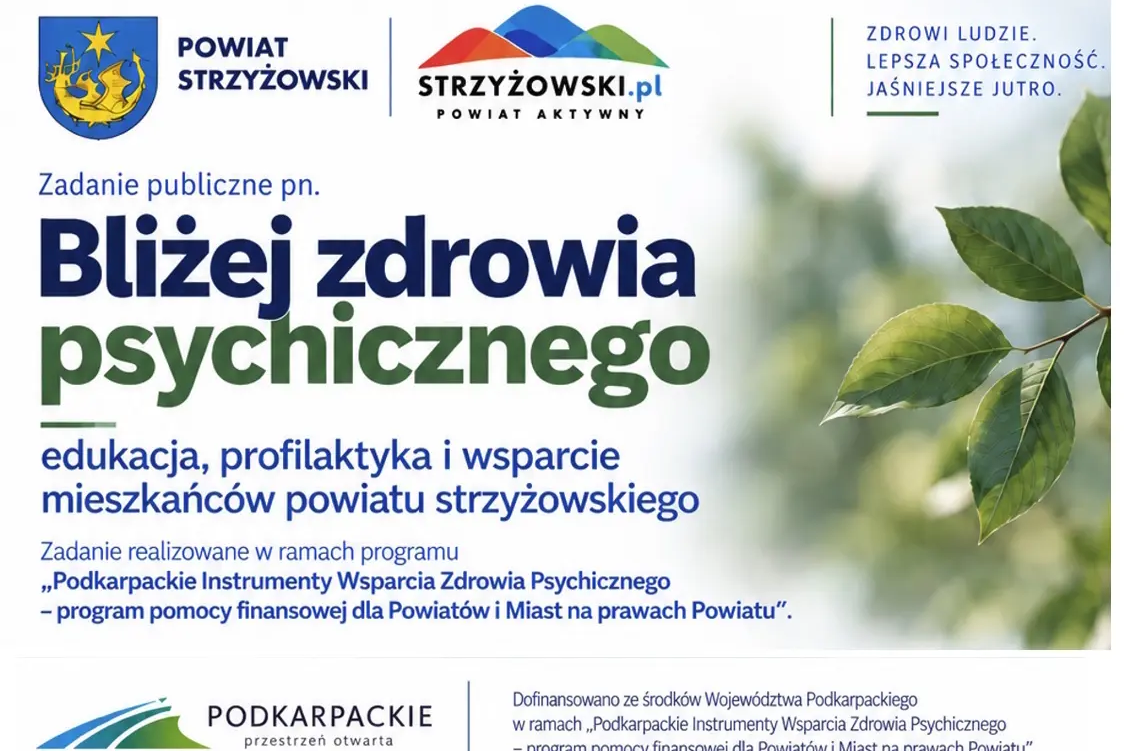 Obszar zdrowia psychicznego